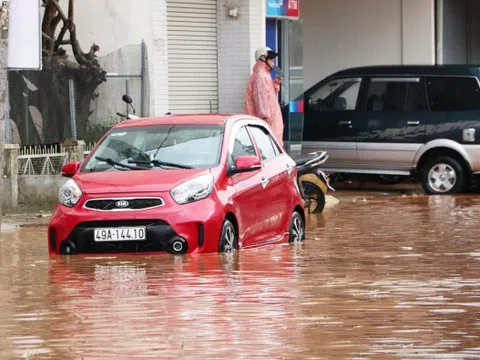 'Nghẹt thở' vì bê tông, nhà kính nên hễ mưa to Đà Lạt lại ngập