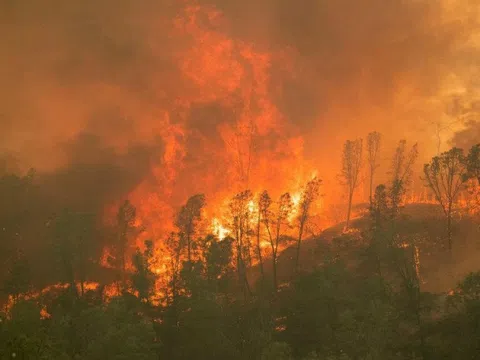 Cháy rừng ở California, Mỹ khiến hàng nghìn người phải sơ tán