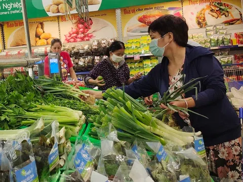 Rau bẩn 'đội lốt' VietGAP: Truy trách nhiệm giám đốc siêu thị