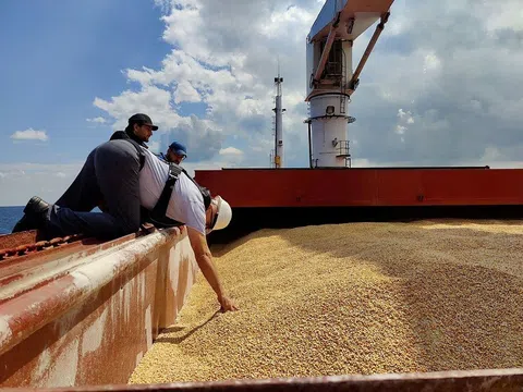 Sợ bị Nga chặn đường qua Biển Đen, Ukraine đề nghị EU hỗ trợ xây hành lang xuất khẩu khẩn cấp