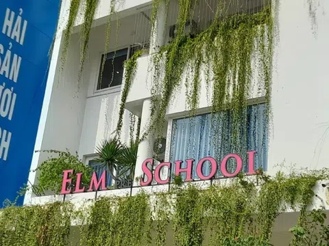 Điều tra thông tin học sinh bị bỏ đói, bạo hành ở nhóm trẻ Elm School