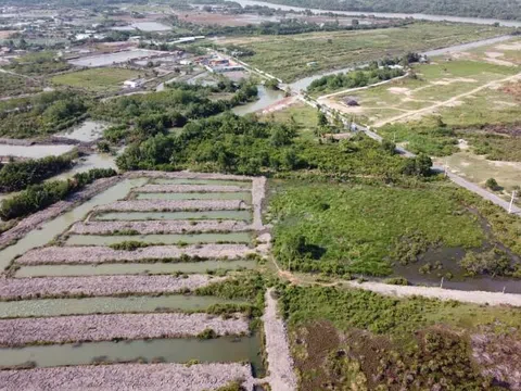 Sửa Luật Đất đai: Sẽ có ngân hàng đất nông nghiệp