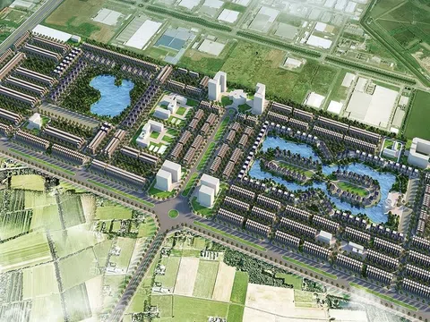 Cảnh ruộng hoang và chăn nuôi trâu bò trong New City Phố Nối