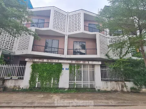 KĐT mới Nam đường 32 bỏ hoang, dân trồng rau trên móng nhà liền kề tiền tỷ