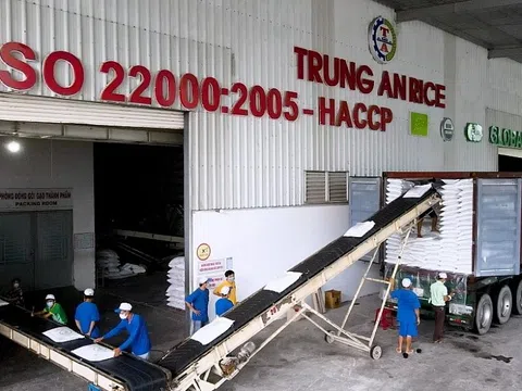 Lợi nhuận Gạo Trung An chạm đáy 3 năm