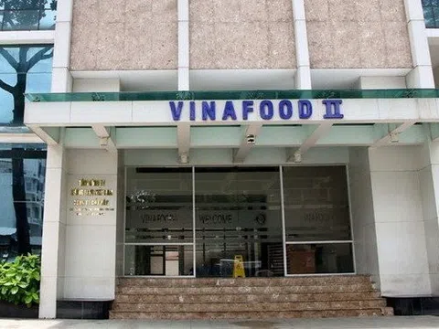 Sau 9 tháng, Vinafood II chưa hoàn thành được 5% mục tiêu lợi nhuận