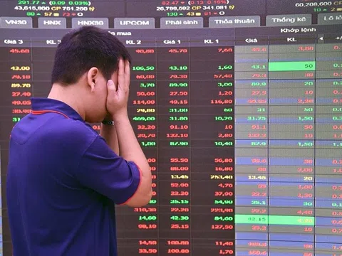 Hàng loạt doanh nghiệp buộc giải trình việc cổ phiếu nằm sàn 5 phiên