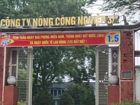 Công ty Nông công nghiệp 3/2: Lãi mỏng, dòng tiền âm, nợ phải trả tăng mạnh