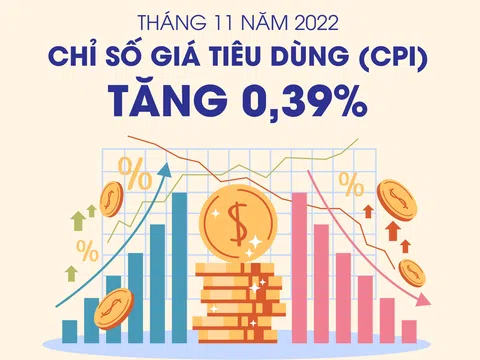 Chỉ số giá tiêu dùng tháng 11 năm 2022 tăng 0,39%