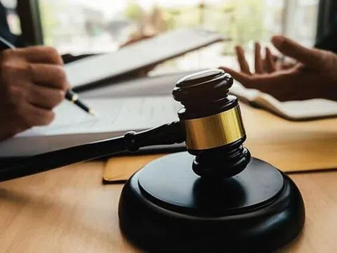 Thanh Hóa cấm đấu thầu 3 năm với 2 nhà vì gian lận
