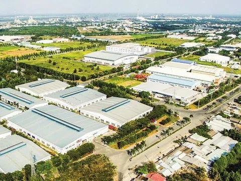 Lãng phí tài nguyên đất tại đầu tàu kinh tế TP.HCM - Bài 2: Dở khóc, dở cười khi...trồng lúa chốn đô thành