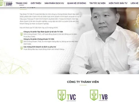 Công ty Trí Việt 'bơm tiền' cho Chủ tịch Louis Holdings thổi giá cổ phiếu thế nào?