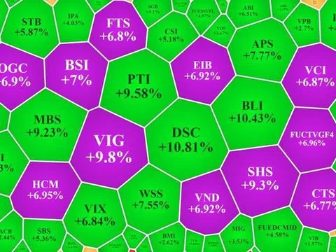 VN-Index đảo chiều tăng dựng đứng, cổ phiếu chứng khoán tím