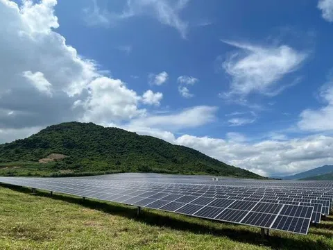 Phát lộ hàng trăm dự án điện mặt trời tại Khánh Hòa, Ninh Thuận dính sai phạm