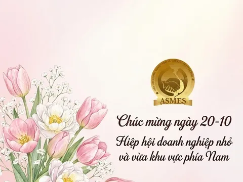 LỜI CHÚC MỪNG NGÀY PHỤ NỮ VIỆT NAM 20/10 TỪ HỘI DOANH NGHIỆP NHỎ VÀ VỪA KHU VỰC PHÍA NAM