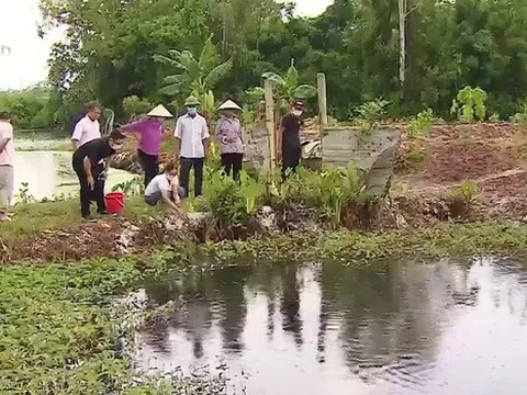 Thái Bình: Bị đình chỉ hoạt động, cơ sở sản xuất thạch vẫn ngang nhiên xả thải