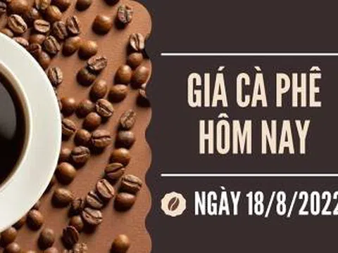 Giá cà phê hôm nay 18/8: Giảm nhẹ 100 đồng/kg tại các tỉnh trọng điểm