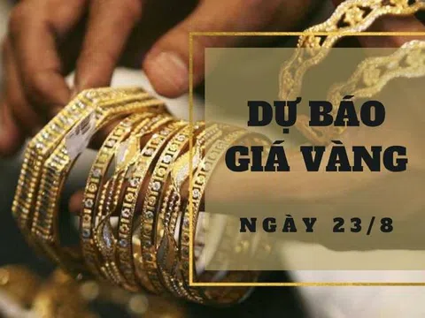 Dự báo giá vàng 23/8: Giảm mạnh khi giá vàng thế giới xuống đáy hơn 3 tuần?