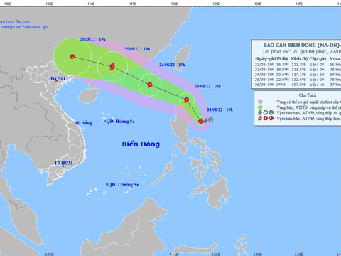 Áp thấp nhiệt đới mạnh lên thành bão, di chuyển rất nhanh theo hướng Tây Bắc, gió giật cấp 10