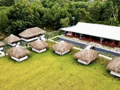 Bà Rịa - Vũng Tàu: Nở rộ mô hình homestay, farmstay tự phát