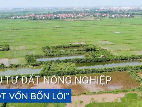 Đầu tư đất nông nghiệp “một vốn bốn lời”