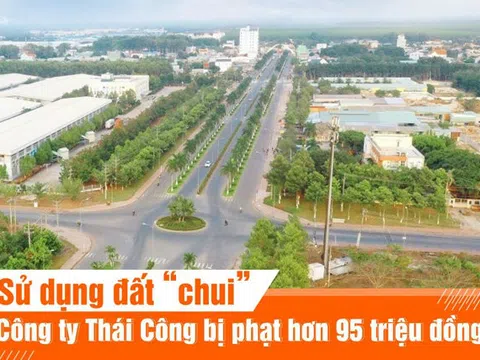 Sử dụng đất “chui”, công ty Thái Công bị phạt hơn 95 triệu đồng