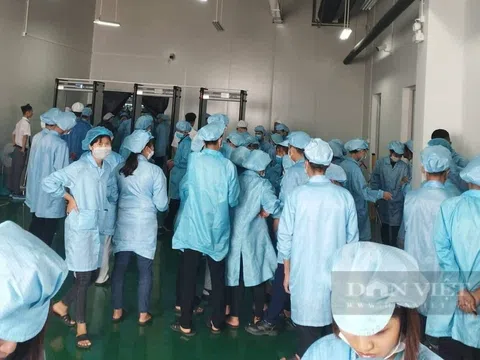 Phú Thọ: Hơn 1.000 công nhân đình công vì cho rằng hàng loạt chế độ tiền lương, lao động bất hợp lý