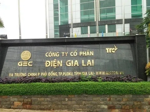 Điện Gia Lai dự kiến chào bán 64 triệu cổ phiếu với giá chiết khấu 46%