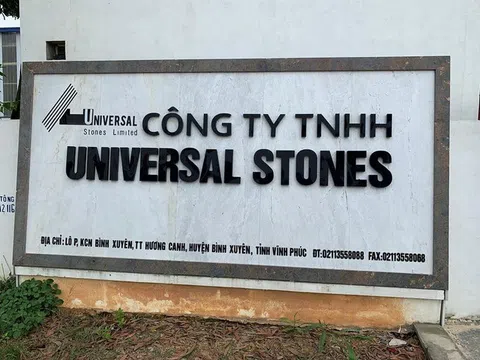 Nợ thuế hơn 4,8 tỷ đồng, Công ty Universal Stones bị dừng làm thủ tục hải quan