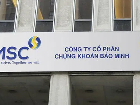 Công ty Cổ phần Chứng khoán Bảo Minh bị phạt và truy thu 310 triệu đồng do khai sai thuế