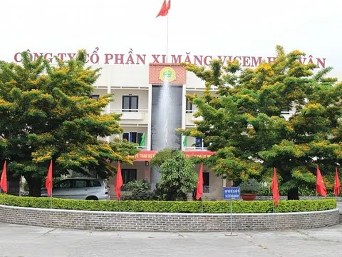 Khai sai thuế thu nhập, Xi măng Vicem Hải Vân bị phạt và truy thu hàng tỷ đồng