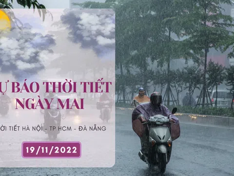 Dự báo thời tiết ngày mai 19/11/2022: Hà Nội lạnh với sương mù, Đà Nẵng mưa vừa và dông, TP HCM chiều tối có mưa