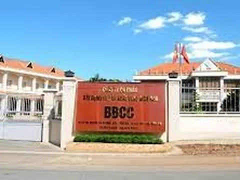 Vì sao Vật liệu xây dựng Biên Hòa dự kiến lỗ năm 2022?