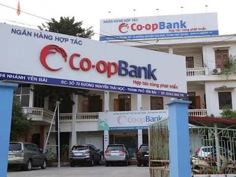 Nhân viên ngân hàng Hợp tác xã Việt Nam Co-opBank lừa đảo hàng trăm người