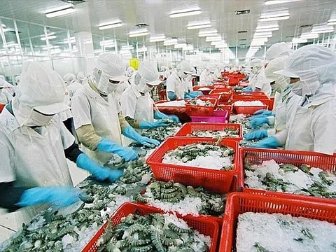 Một cổ phiếu thủy sản liên tiếp "bay cao" bất chấp thị trường "lao dốc"