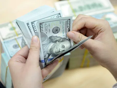 Tỷ giá USD hôm nay 25/6: Cập nhật tỷ giá USD trong nước và quốc tế