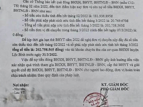 Lạng Sơn: Công ty Cổ phần Toàn Phát - Bài 1: Người lao động khổ vì không BHXH