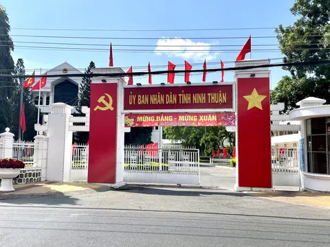 Ninh Thuận thanh tra 52 ha đất ven biển