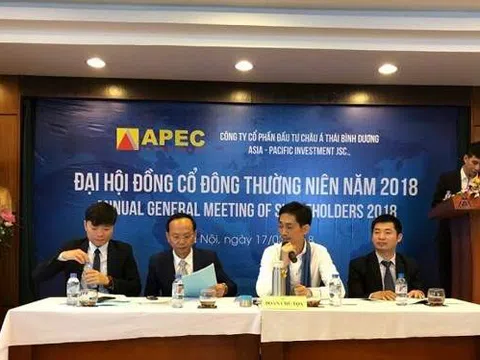 Chứng khoán APEC lỗ kỷ lục vì tự doanh cổ phiếu nội bộ