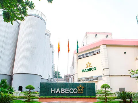 Habeco (BHN) vẫn còn 2.100 tỷ đồng đem gửi ngân hàng, LNST quý 2 đạt 205 tỷ đồng