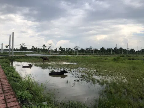 Hậu Giang: Dự án 18 năm vẫn là... bãi thả trâu được quảng cáo “Khu đô thị phong cách Ý”