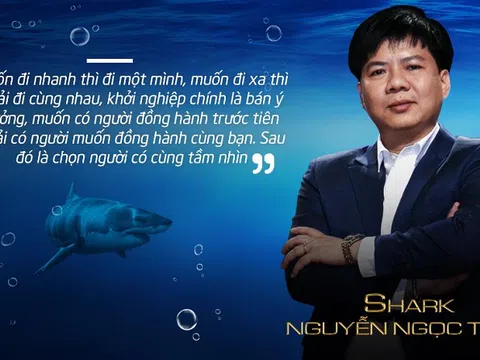 Nhà đầu tư khóc ròng vì góp tiền tỷ vào công ty của shark Thủy