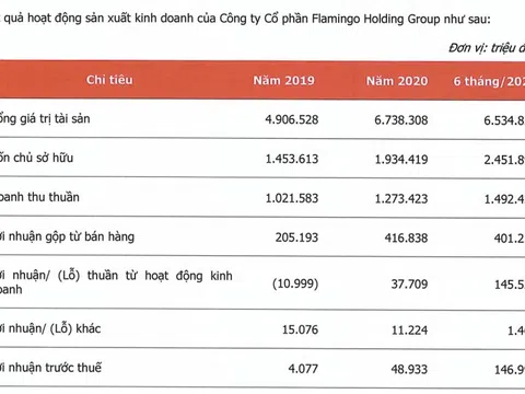 Tiết lộ tình hình tài chính của chủ đầu tư Flamingo Đại Lải