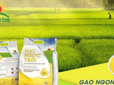 Lộc Trời (LTG) đặt kế hoạch lợi nhuận 2022 đi lùi, gia hạn thời gian niêm yết cổ phiếu