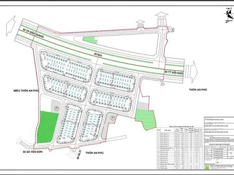 Dự án khu dân cư tại huyện Lục Nam, Bắc Giang: Nhà đầu tư khiếu nại vì bị loại tham gia đấu giá