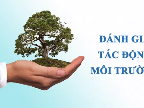 Vi phạm quyết định phê duyệt báo cáo đánh giá tác động môi trường bị xử phạt như thế nào?