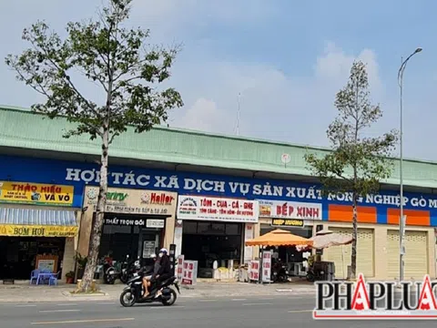 Thường trực Tỉnh ủy Đồng Nai giám sát khiếu nại về sai phạm khu 'đất vàng'