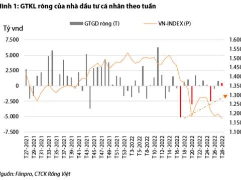 Các nhà đầu tư cá nhân đã bắt đầu "ngưng bán" trên thị trường chứng khoán