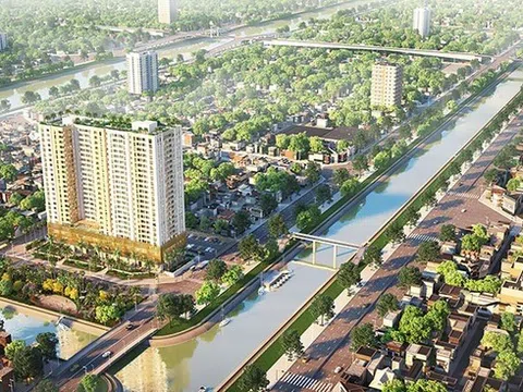 Đình chỉ kinh doanh với dự án Aurora Residences quận 8