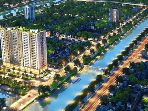 Bán căn hộ Aurora Residences trái phép, Công ty Bất động sản Bình Đông bị đình chỉ kinh doanh